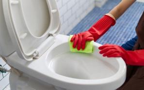 قیمت خرید جرم گیر قوی توالت + عکس